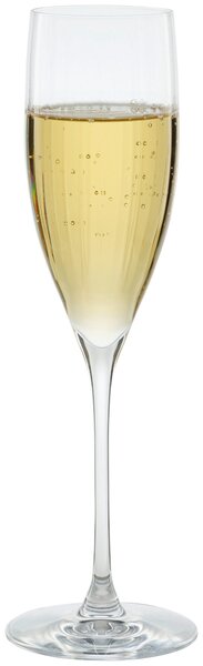 SKLENICE NA SEKT Leonardo