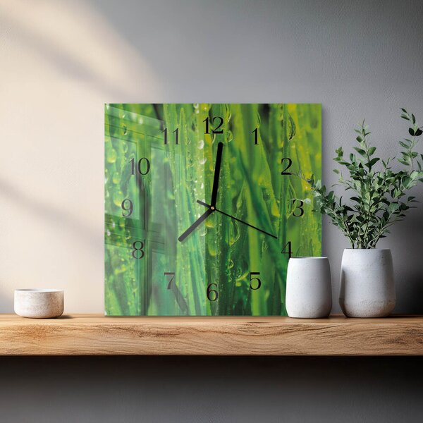 Skleněné hodiny na stěnu Tráva zskc-30x30-00178197