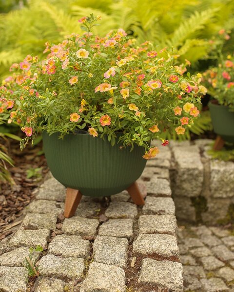 PLASTOVÝ KVĚTINÁČ ROSA LINEA ECO SADA 2KS 15X24,3 CM+18,3X29,2 CM ZELENÁ