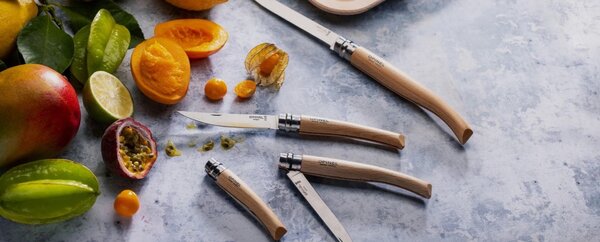 Outdoorový nůž Opinel N°10 Slim Line Buk