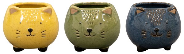 Ter Steege Obal Meow colour D9 H8, 3 barvy