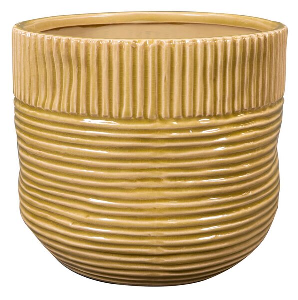 Ter Steege Obal Nona mustard D20 H18