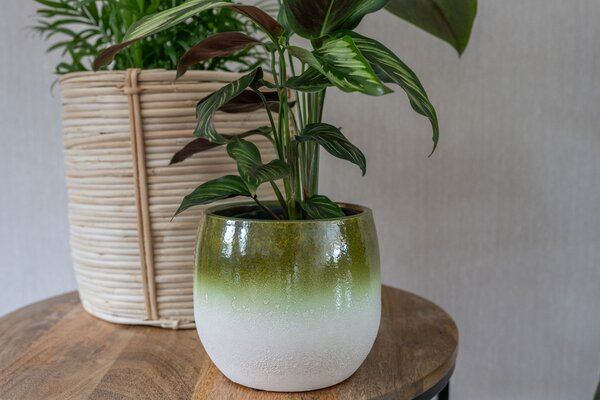 Ter Steege Obal Fem pear green D15 H13