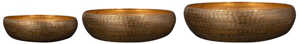 Ter Steege Sada 3 mís Rowen gold D48 H13