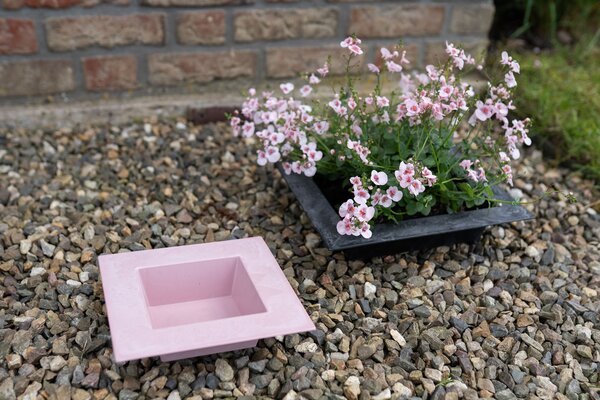 Ter Steege Square Stacy powder pink D30 H6