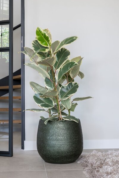 Ter Steege Obal Noor velvet green D32 H30