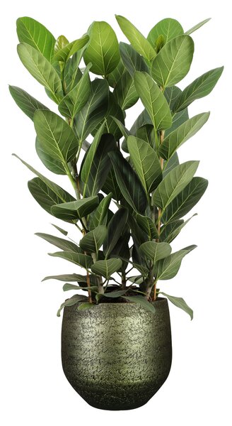 Ter Steege Obal Noor velvet green D32 H30