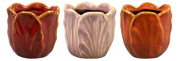 Ter Steege Obal Tulip colour D8 H8