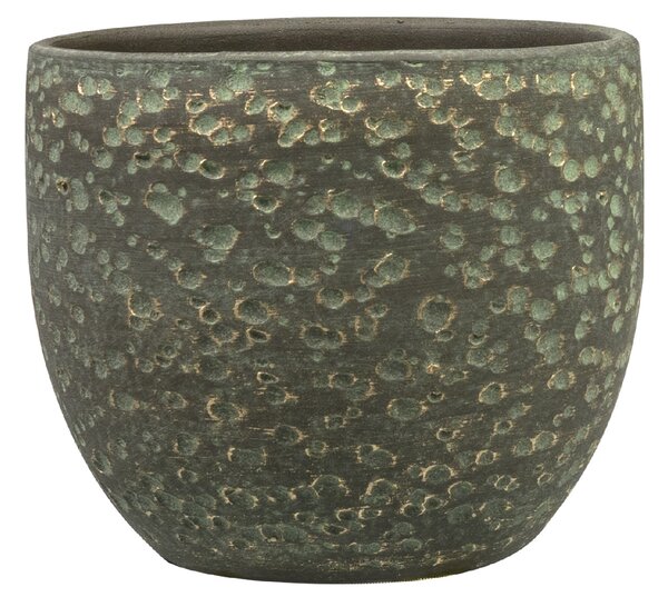 Ter Steege Obal Rinca shiny green D15 H13
