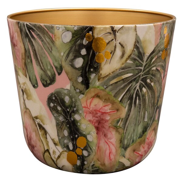 Ter Steege Obal Monstera mystery D21 H18