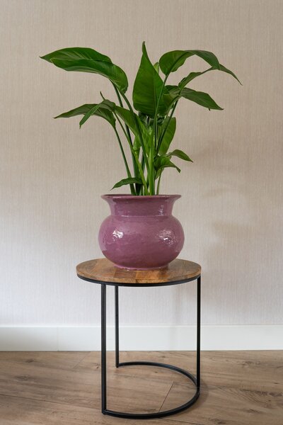 Ter Steege Obal Vivi mauve D24 H21