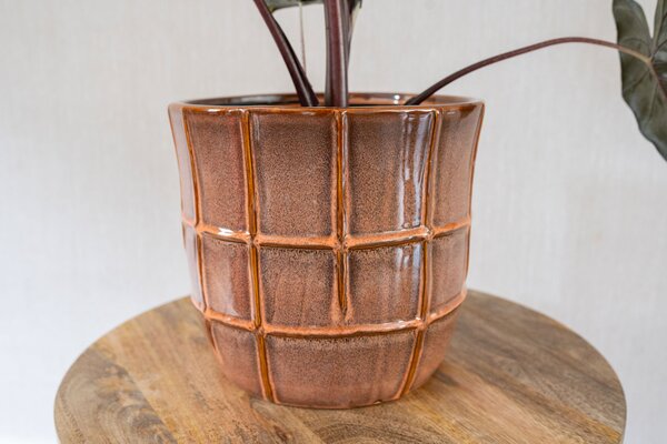 Ter Steege Obal Noemi coral D15 H13