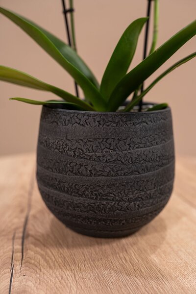 Ter Steege Obal Joyce anthracite D15 H13