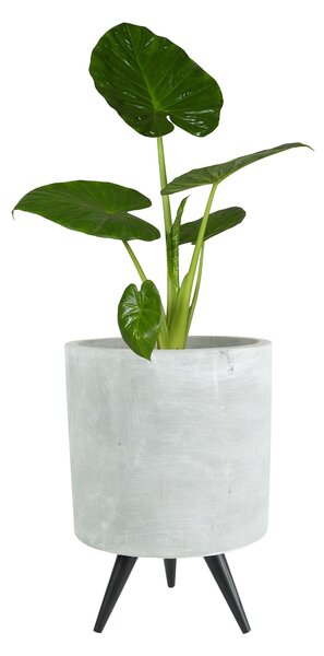 Ter Steege Obal Imre cement D11 H17