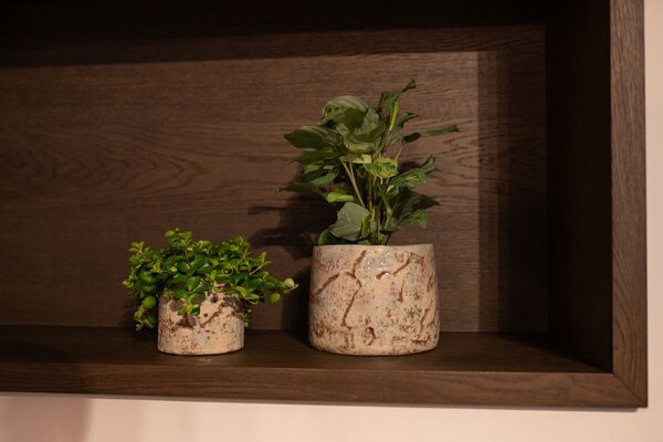 Ter Steege Obal Masha mint D15 H13