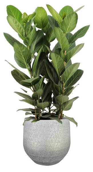Ter Steege Obal Noor metalic grey D32 H30