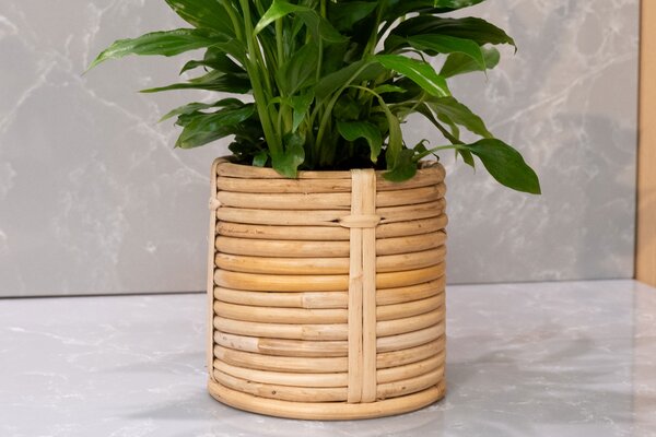 Ter Steege Sada 4 obalů Majen natural D22 H22