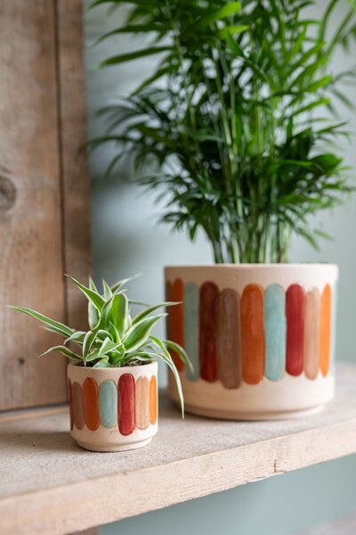 Ter Steege Obal Anna striped D11 H9