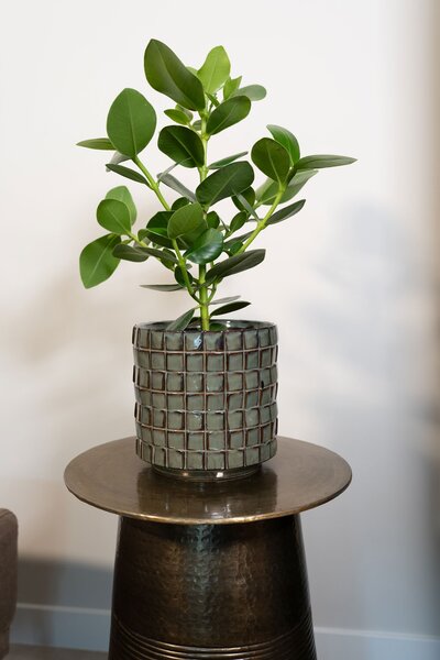 Ter Steege Obal Stian moss green D21 H20