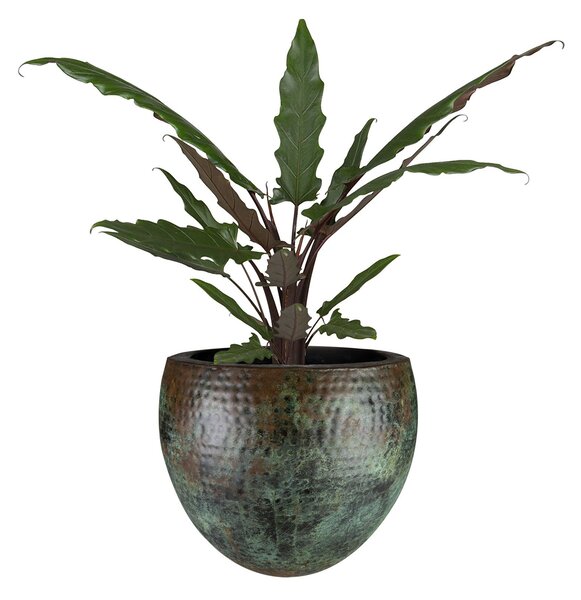 Ter Steege Sada 3 obalů Fabien mystic green D55 H44