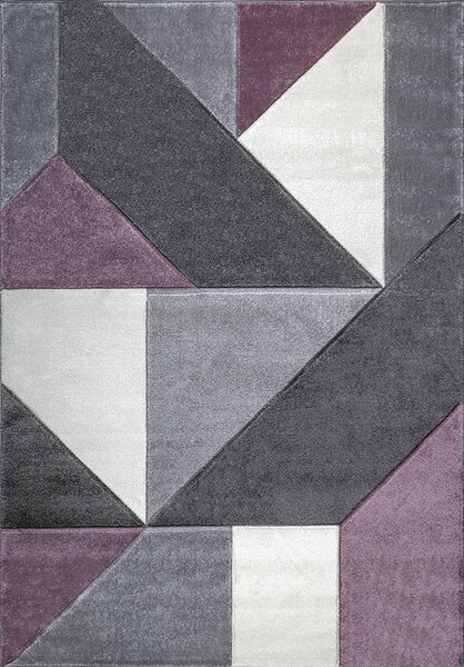 Ayyildiz Hali Kusový koberec Warner 4205A fialový BARVA: Fialová, ROZMĚR: 120x170 cm