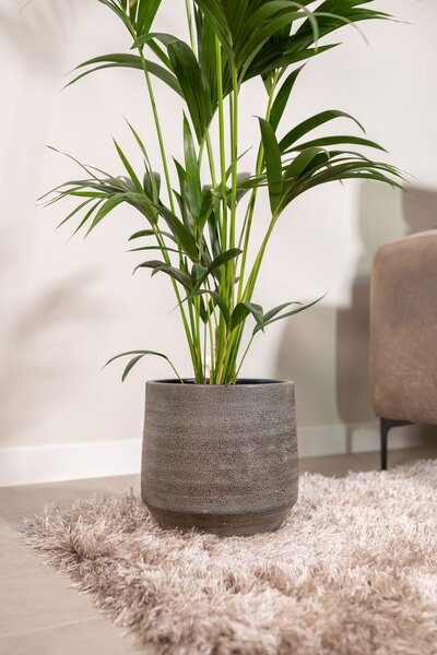Ter Steege Obal Norell latte brown D25 H24