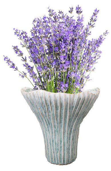 Ter Steege Obal Isa ice blue D21x26 H25