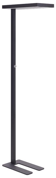 LED stojací lampa TAURUS se stmívačem Kov Černá
