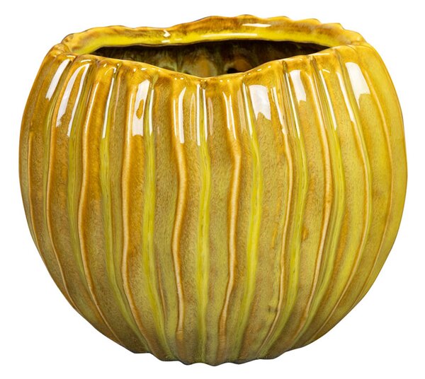 Ter Steege Obal Sanah rib mustard D17 H14