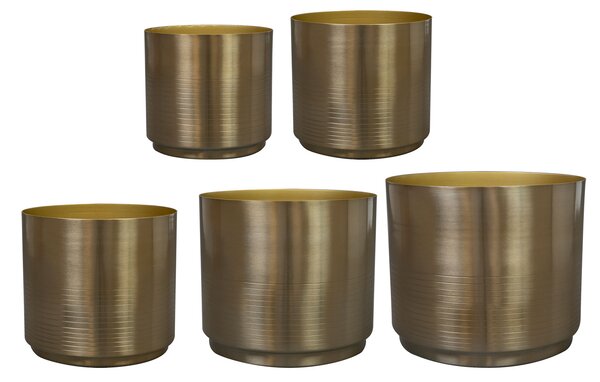 Ter Steege Sada 5 obalů Marley gold D21 H18