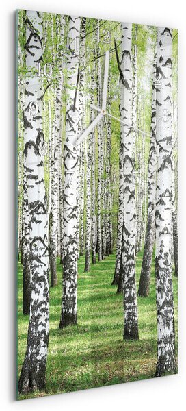 Skleněné hodiny vertikální Bříza zsppb-30x60-00084614