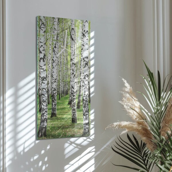 Skleněné hodiny vertikální Bříza zsppb-30x60-00084614