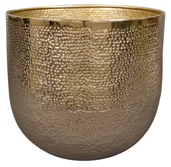 Ter Steege Obal Kristy gold D31 H29