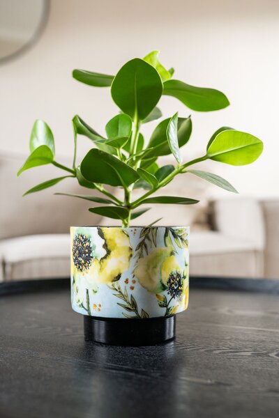 Ter Steege Sada 5 obalů Camelia aquarel D22 H20