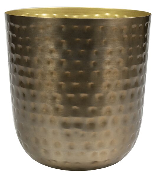 Ter Steege Obal Mayren gold D12 H13