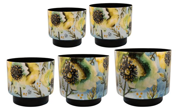 Ter Steege Sada 5 obalů Camelia aquarel D22 H20