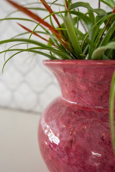 Ter Steege Obal Vivi cherry D24 H21