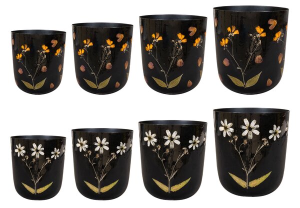 Ter Steege Set 4 Dryflower colour D20 H22, 2 druhy