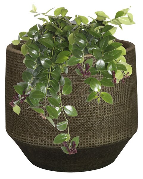 Ter Steege Obal Norell chestnut D15 H13