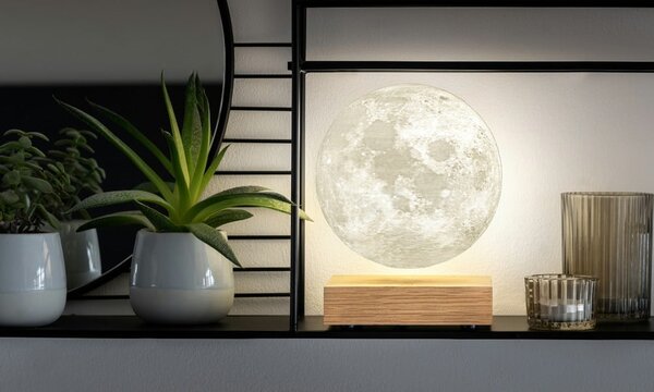 LED stolní lampa v přírodní barvě (výška 14 cm) Moon – Gingko
