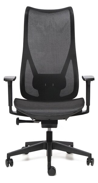 Kancelářská ergonomická židle HARMONY — síť, černá