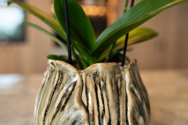 Ter Steege Obal Flora taupe D20 H17