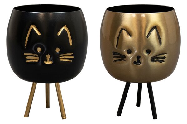 Ter Steege Obal Cat, 2 druhy D8 H11
