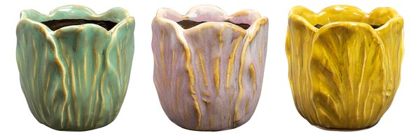 Ter Steege Obal Tulip D8 H8