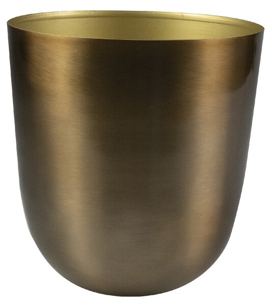 Ter Steege Obal Mayk gold D12 H13