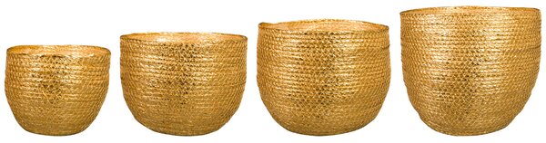 Ter Steege Sada 4 obalů Dorieke gold D33 H25