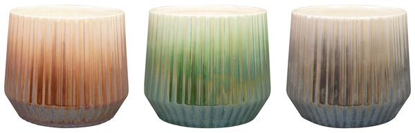Ter Steege Balení obalů Marije 126pc D55x80 H105, 3 barvy D15 H12