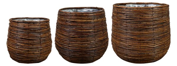 Ter Steege Sada 3 obalů Bob willow brown D41 H35