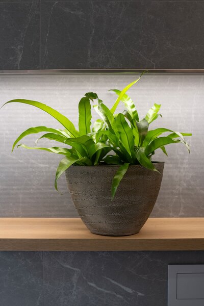 Ter Steege Obal Joyce anthracite D33x16 H25