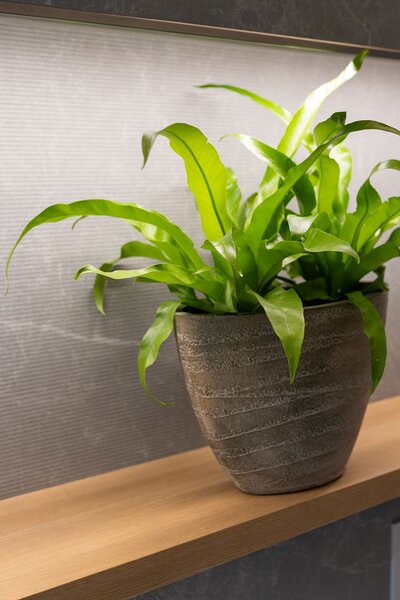 Ter Steege Obal Joyce anthracite D33x16 H25